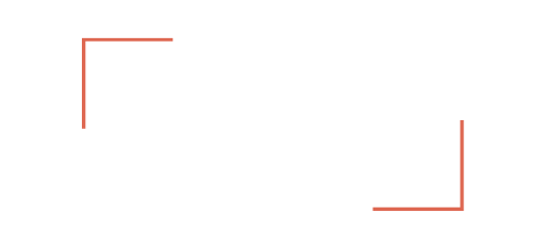 The Lyfestyle