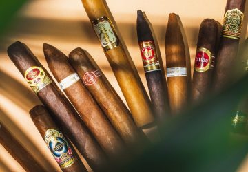 an assortment of the best cigars